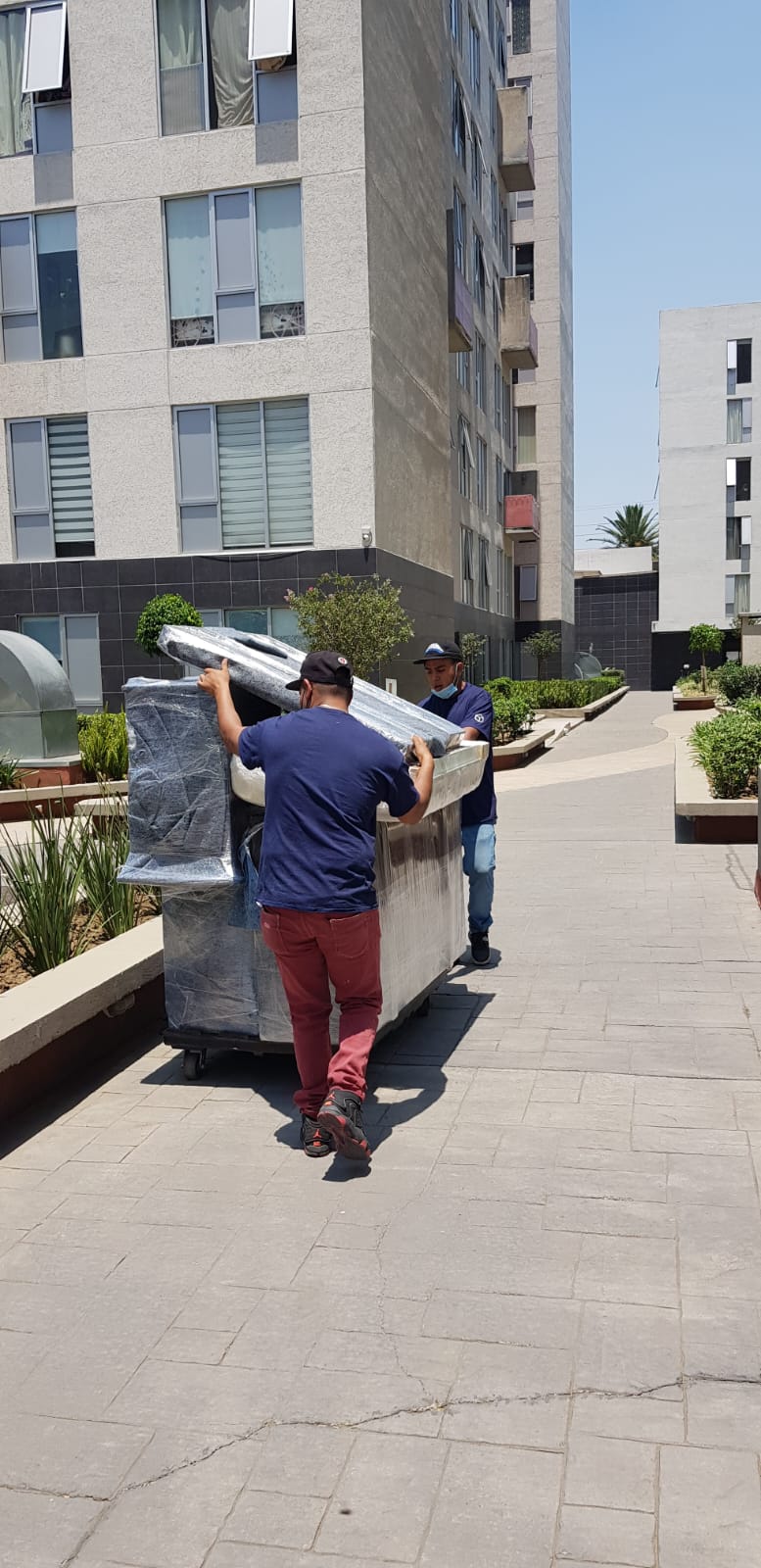 Equipo de Mudanza Express trasladando mobiliario embalado entre edificios